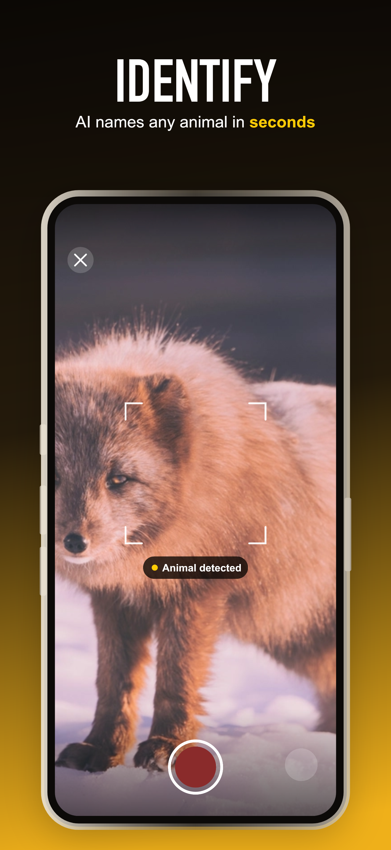 Identify any animal