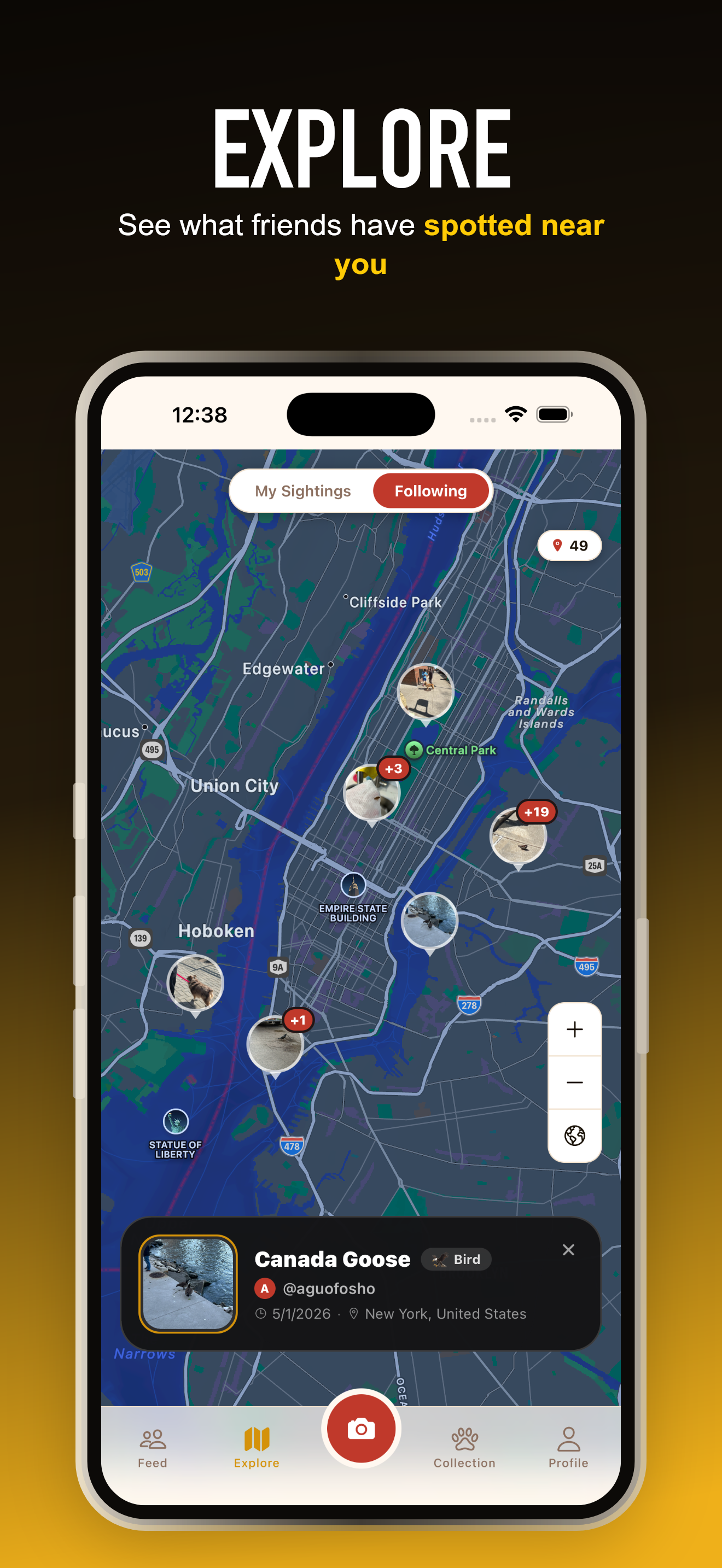 Explore sightings near you