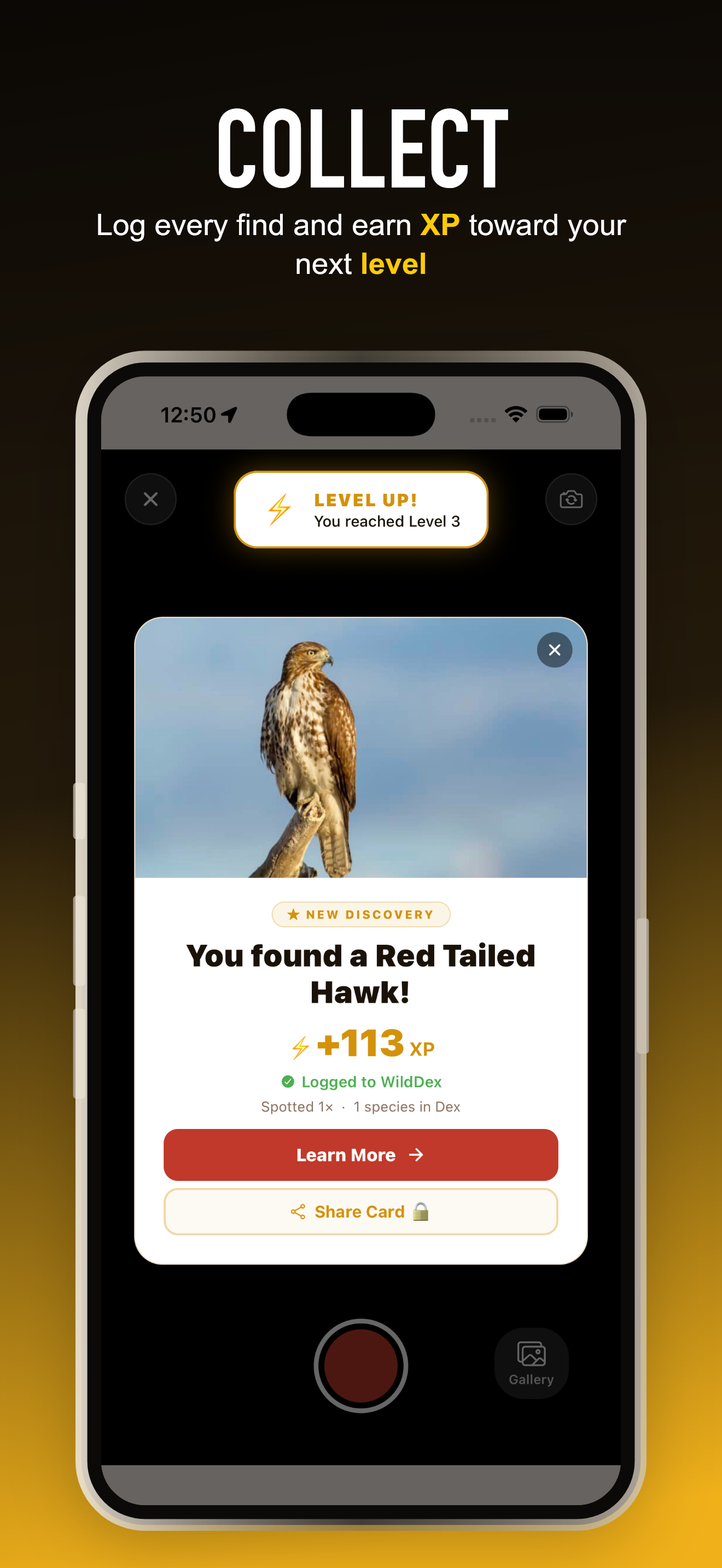 Collect and earn XP