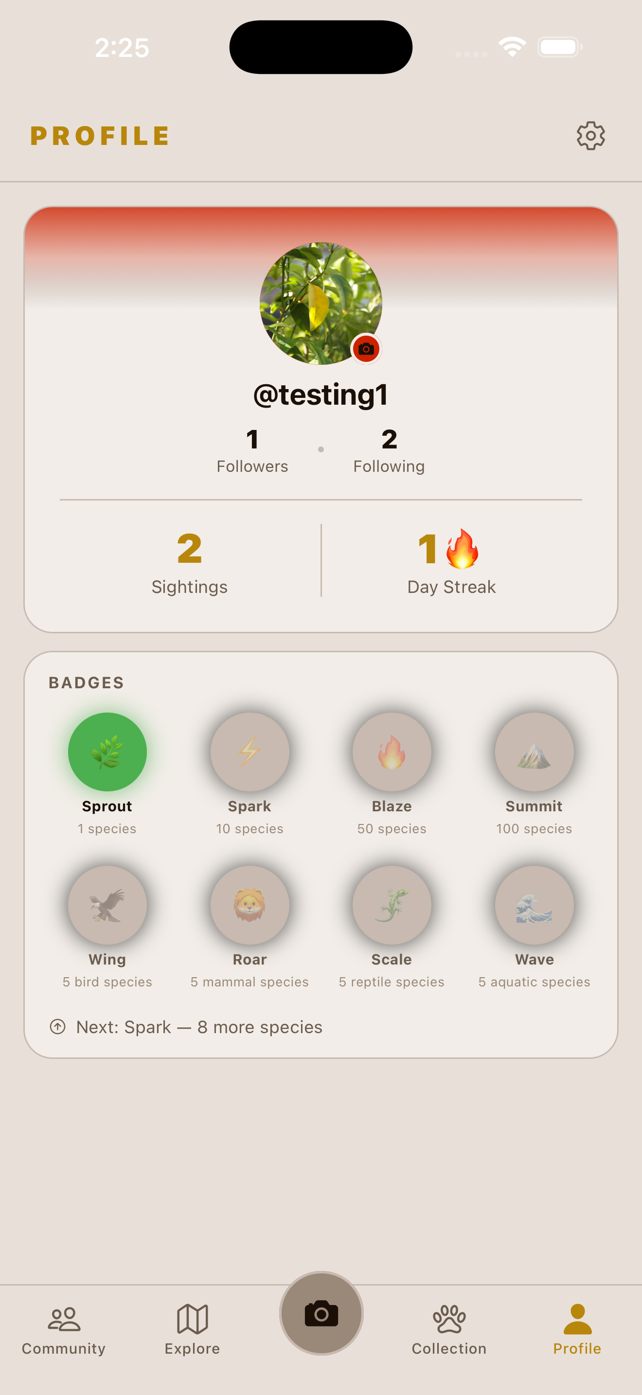 Profile and badges